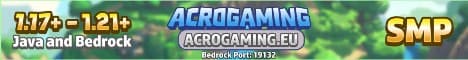 AcrogamingSMP banner