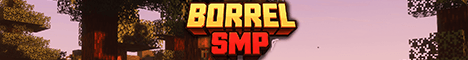 BorrelSMP banner