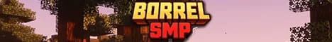 BorrelSMP banner