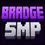 Bradge SMP Minecraft server icoon