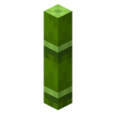 Bamboo