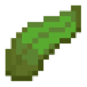 Kelp