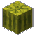 Melon