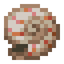 Nautilus Shell Nautilus Shell