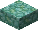 Prismarine Slab