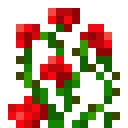 Rose Bush
